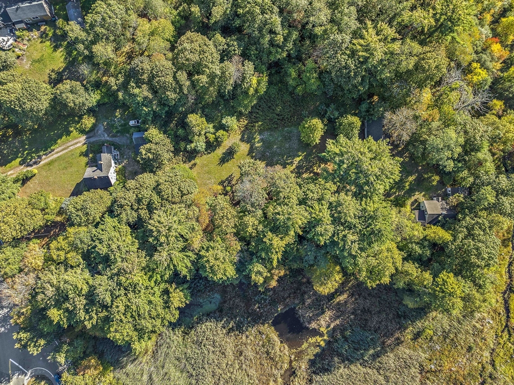 235 Main Street Marshfield, MA 02050 - Photo 15 of 15 a view of a garden with plants
