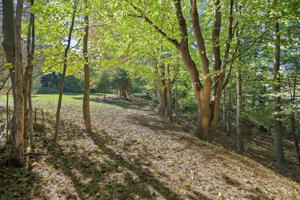 235 Main Street Marshfield, MA 02050 - Photo 7 of 15 a view of a yard with a tree