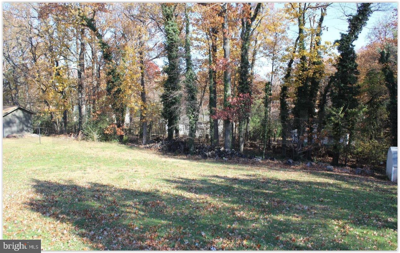3735 West Ox Road Fairfax, VA 22033 - Photo 18 of 23 Serene autumn landscape with vibrant trees.
