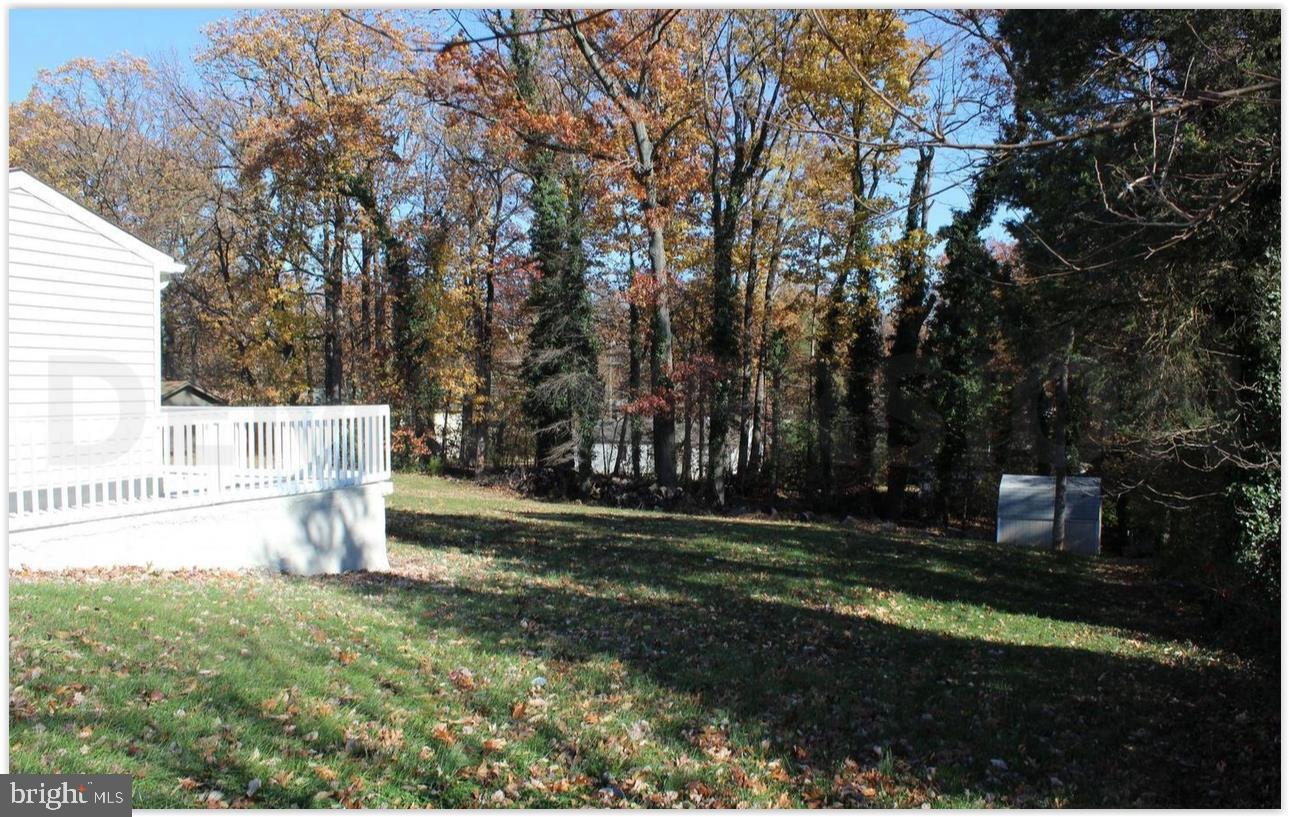 3735 West Ox Road Fairfax, VA 22033 - Photo 20 of 23 Serene backyard with autumn hues.