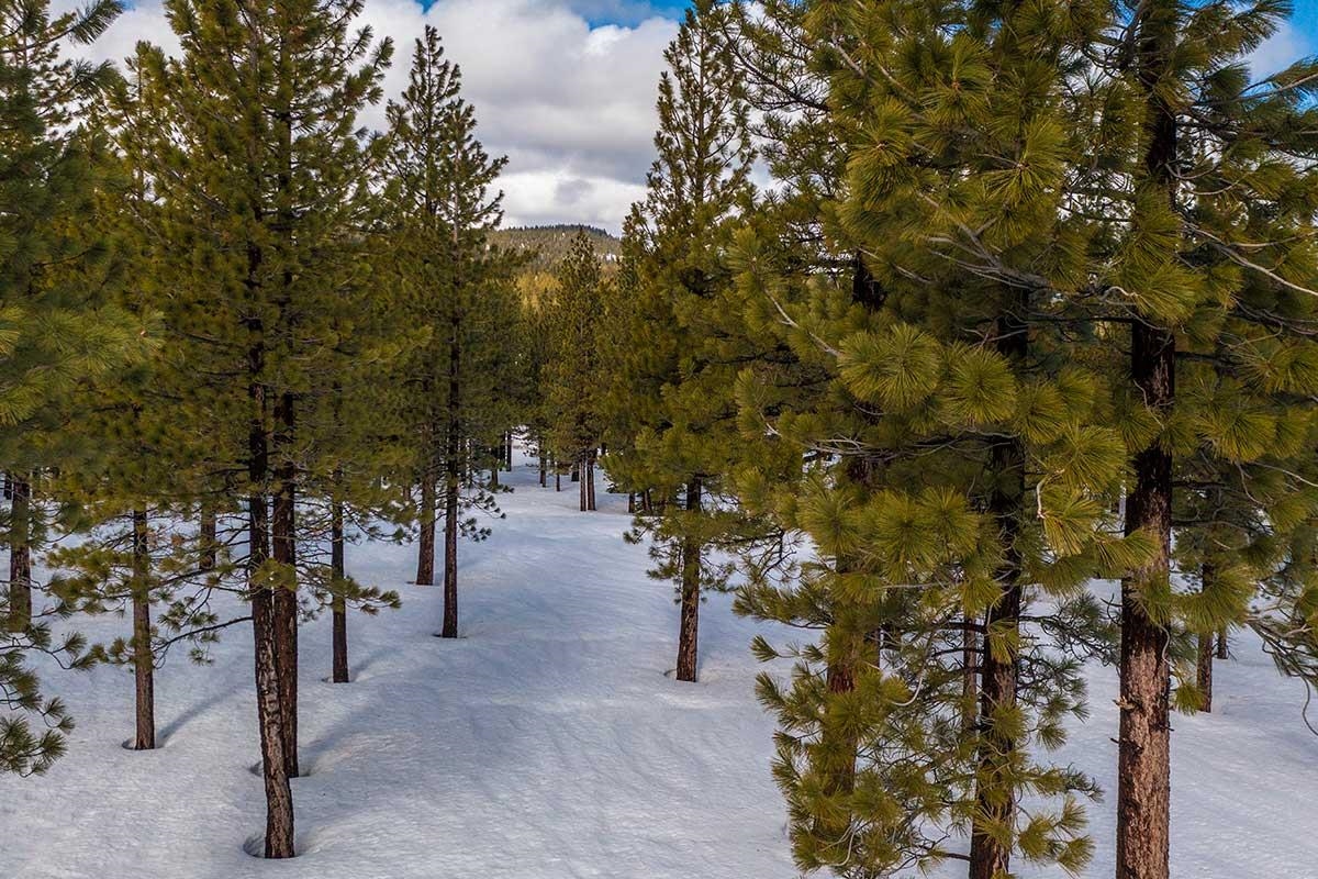 8291 Ehrman Drive Truckee, CA 96161 - Photo 14 of 17