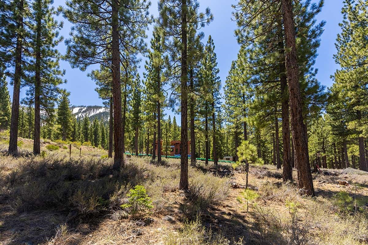 8291 Ehrman Drive Truckee, CA 96161 - Photo 6 of 17