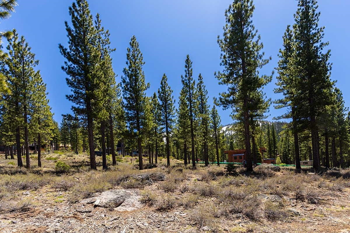 8291 Ehrman Drive Truckee, CA 96161 - Photo 7 of 17