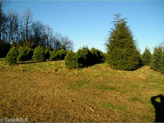1023 Bent Road Meadows Of Dan, VA 24120 - Photo 2 of 16 Land/Lot.