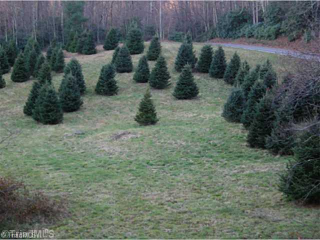 1023 Bent Road Meadows Of Dan, VA 24120 - Photo 12 of 16 Land/Lot.