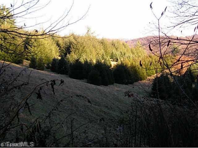 1023 Bent Road Meadows Of Dan, VA 24120 - Photo 13 of 16 View.