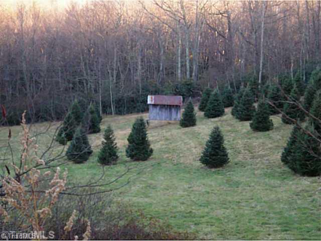 1023 Bent Road Meadows Of Dan, VA 24120 - Photo 3 of 16 Land/Lot.
