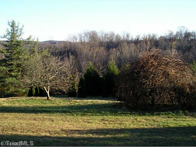 1023 Bent Road Meadows Of Dan, VA 24120 - Photo 5 of 16 Land/Lot.
