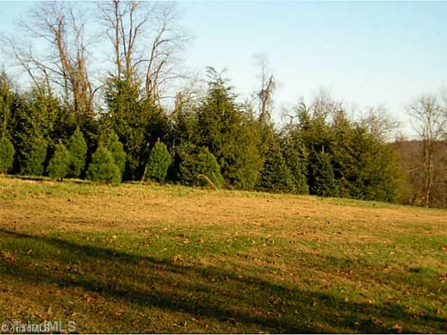 1023 Bent Road Meadows Of Dan, VA 24120 - Photo 7 of 16 Land/Lot.