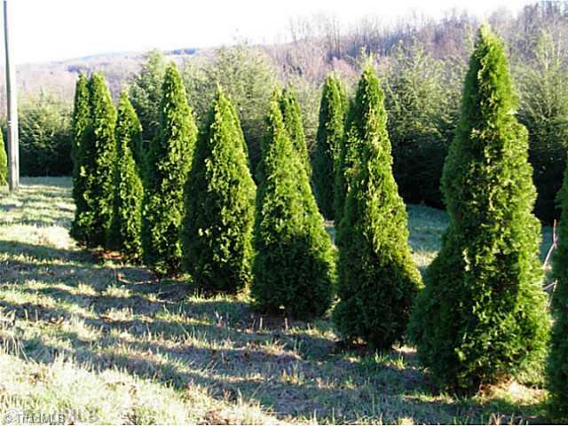 1023 Bent Road Meadows Of Dan, VA 24120 - Photo 8 of 16 Land/Lot.