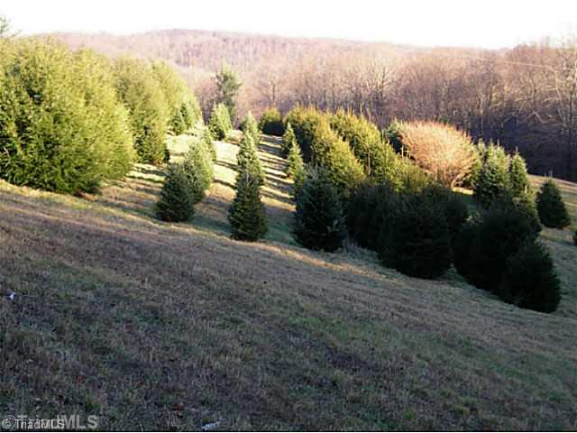 1023 Bent Road Meadows Of Dan, VA 24120 - Photo 10 of 16 View.