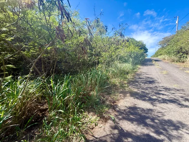 $29,000 | 3 Pua Street, Naalehu, HI 96772