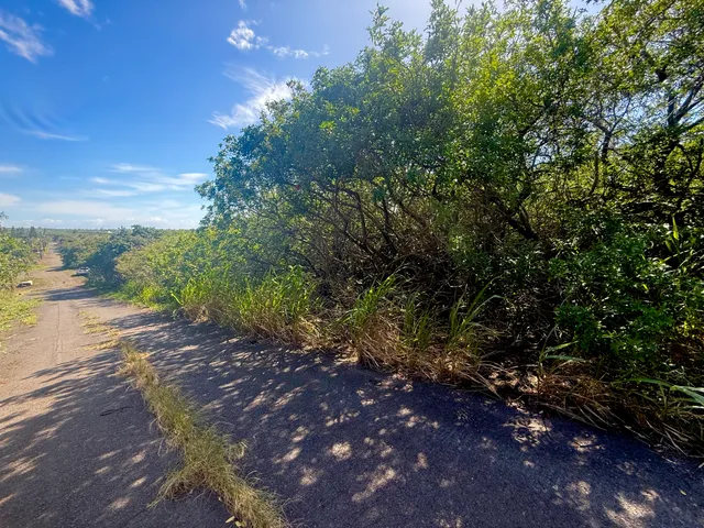 $29,000 | 3 Pua Street, Naalehu, HI 96772