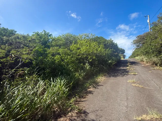 $29,000 | 3 Pua Street, Naalehu, HI 96772