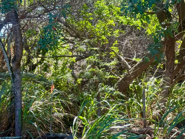 $29,000 | 3 Pua Street, Naalehu, HI 96772