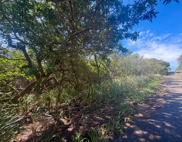 $29,000 | 3 Pua Street, Naalehu, HI 96772