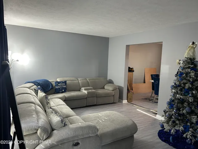 a living room with furniture potted plant and a window