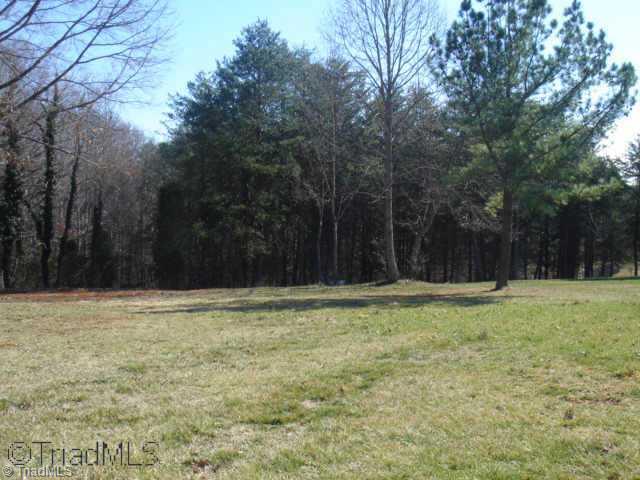 1112 Ridgecliff Drive Rural Hall, NC 27045 - Photo 8 of 8 Other. Backyard