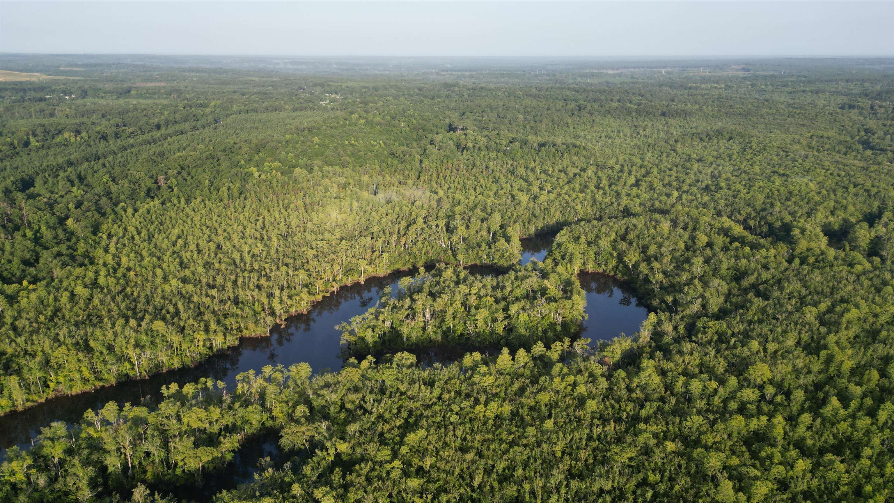 1050 Cedar Creek Landing Road Mount Vernon, AL 36560 - Photo 58 of 59 Aerial View