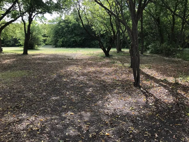 $1,495 | 4441 Trippie Street, Lancaster, TX 75134