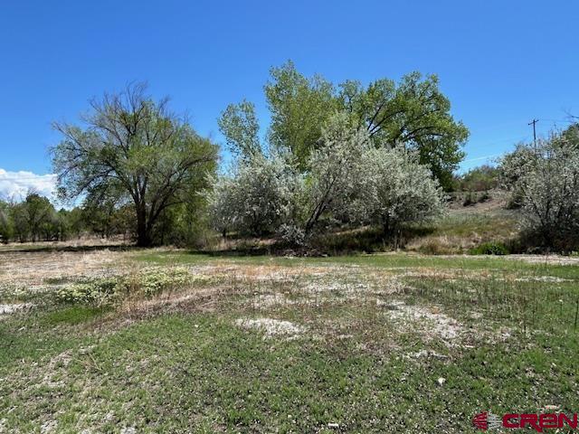 1209 East 3rd Street Delta, CO 81416 - Photo 3 of 6 a view of a yard with an trees