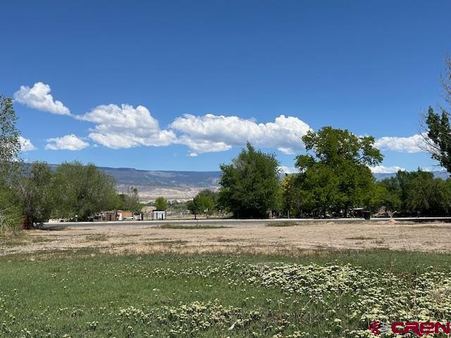 1209 East 3rd Street Delta, CO 81416 - Photo 4 of 6 a view of a yard