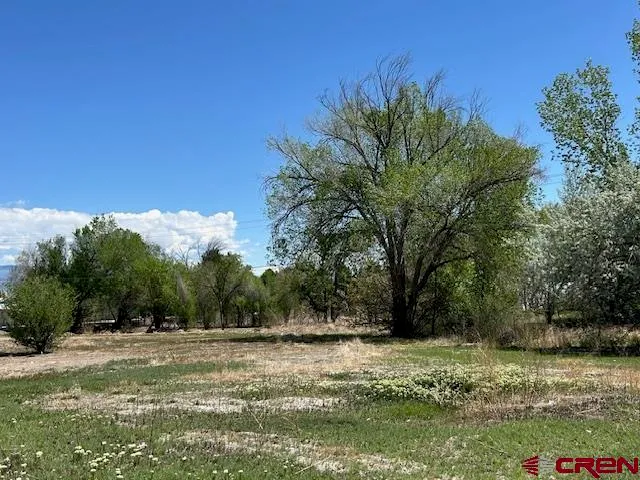 a view of a yard with an trees