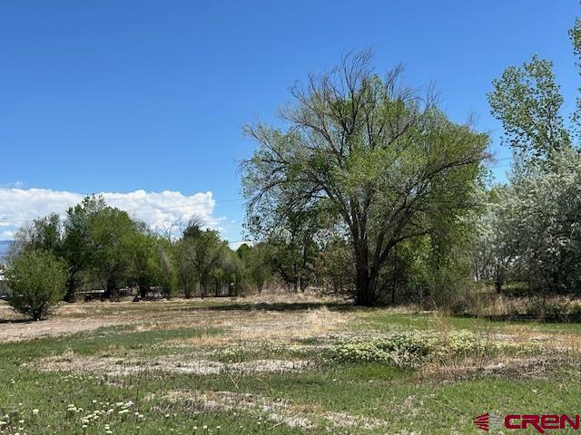 1209 East 3rd Street Delta, CO 81416 - Photo 5 of 6 a view of a yard with an trees