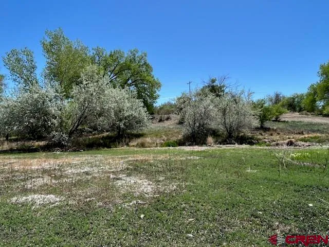 a view of a field with trees in the background