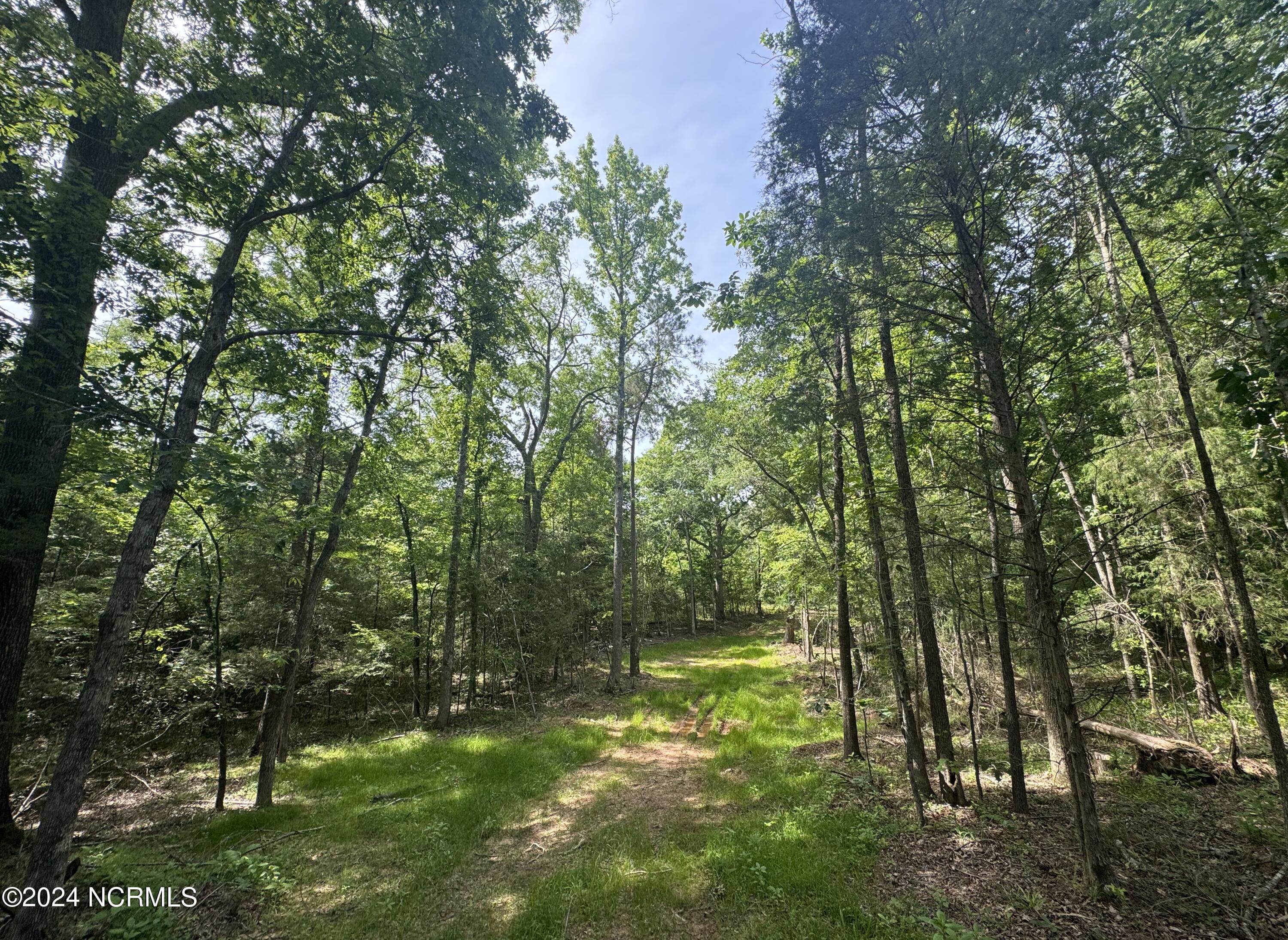 125 Rascob Road Sanford, NC 27330 - Photo 3 of 5 drive
