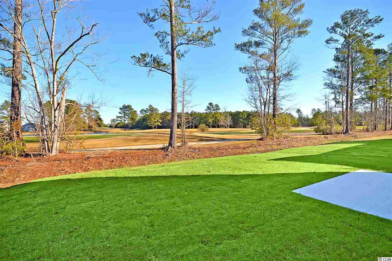 2019 Borgata Loop Longs, SC 29568 - Photo 7 of 40 Gallery Image 7
