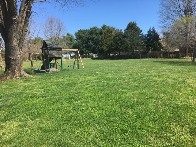 339 Fountainhead Road Portland, TN 37148 - Photo 3 of 7 a view of a chairs in a backyard