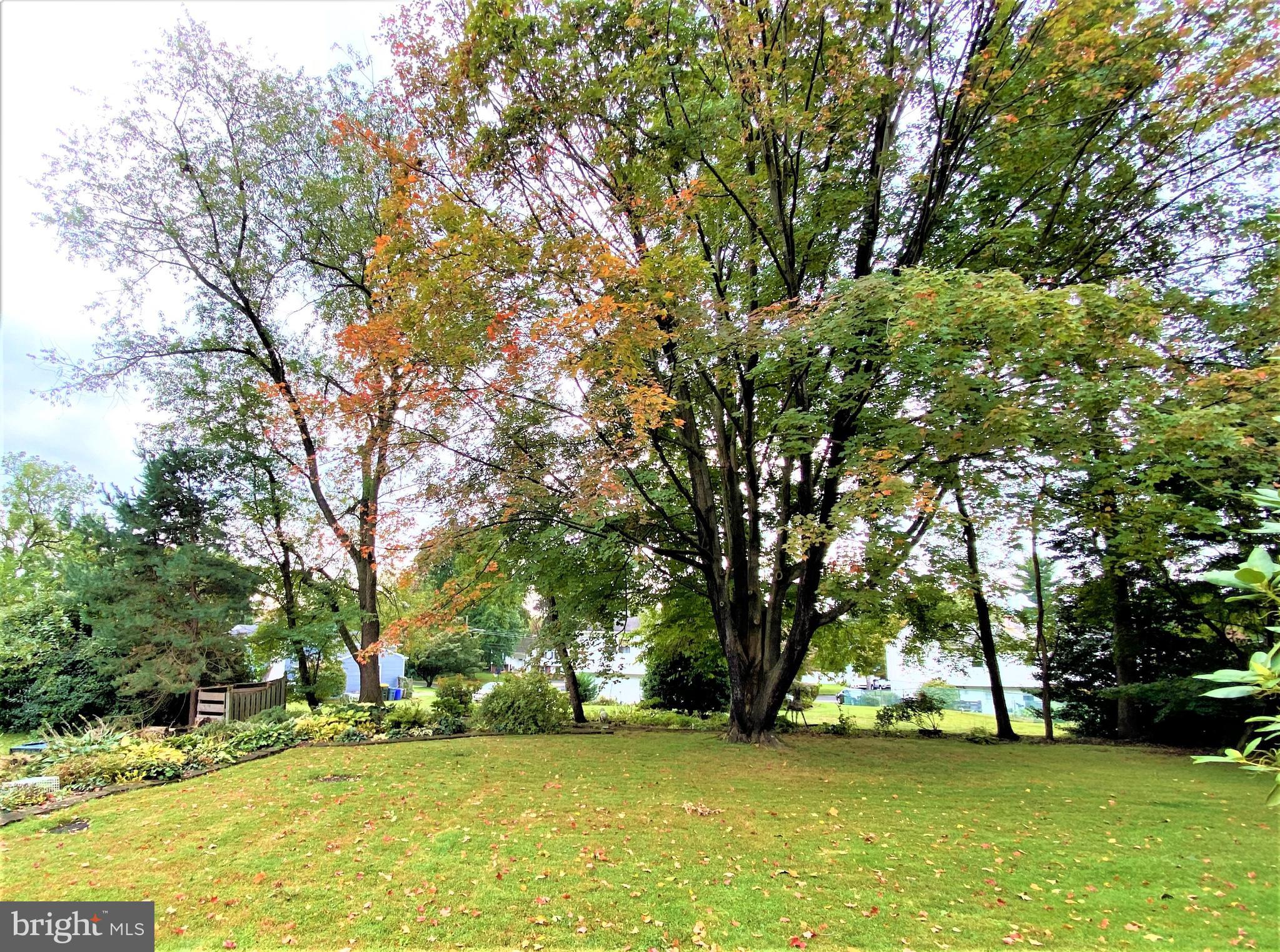 3350 Bartram Road Willow Grove, PA 19090 - Photo 63 of 70 Gallery Image 63