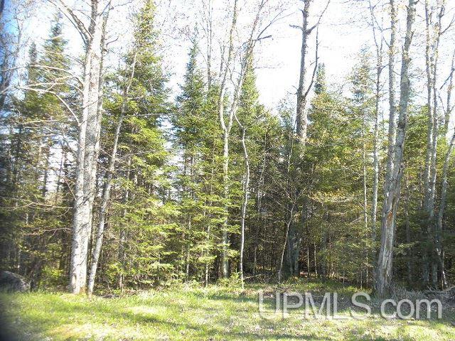Tbd Clement Road Saxon, WI 54559 - Photo 23 of 34