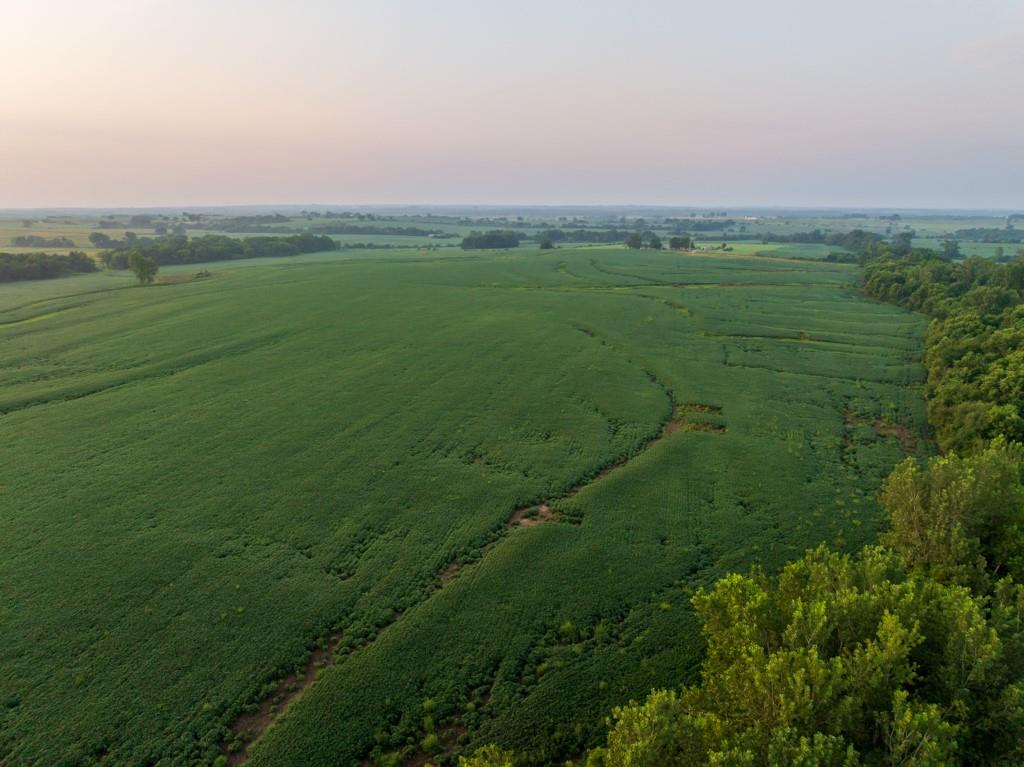 Tbd Southwest 1300 Road Chilhowee, MO 64733 - Photo 38 of 67 Gallery Image 38