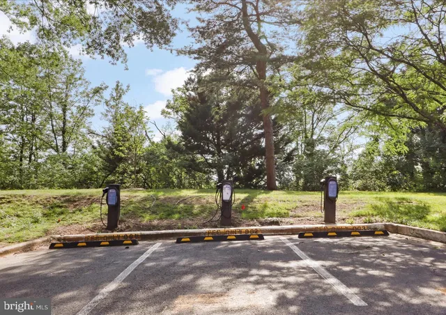 a street view with large trees