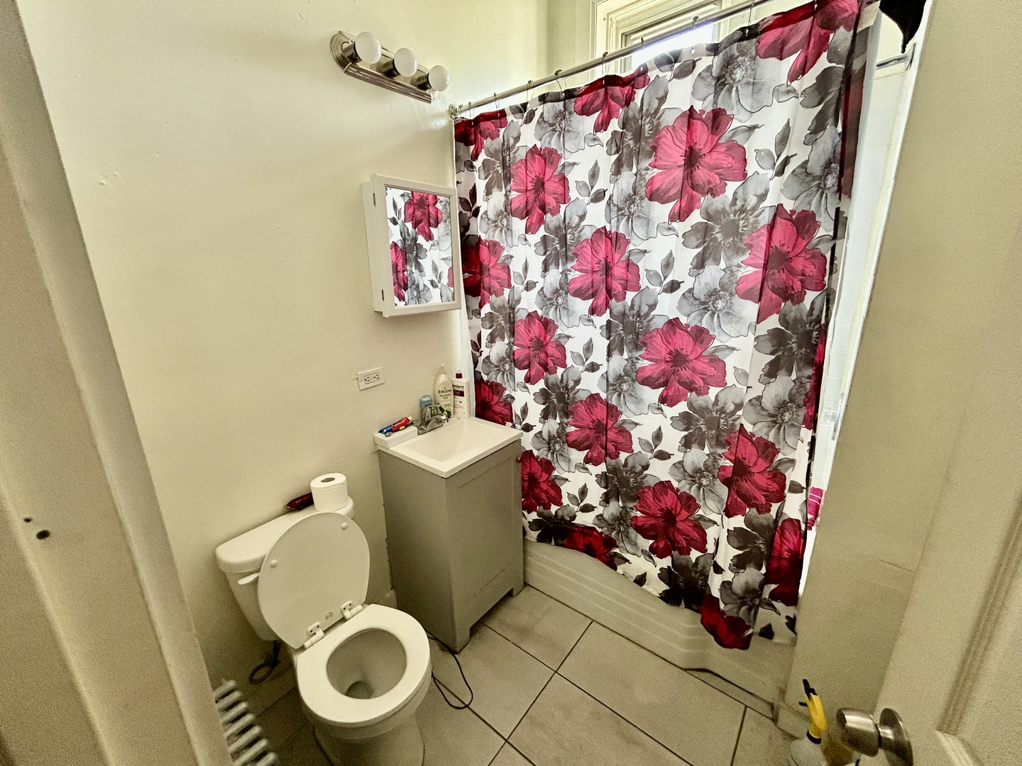 735 East 88th Street Chicago, IL 60619 - Photo 18 of 27