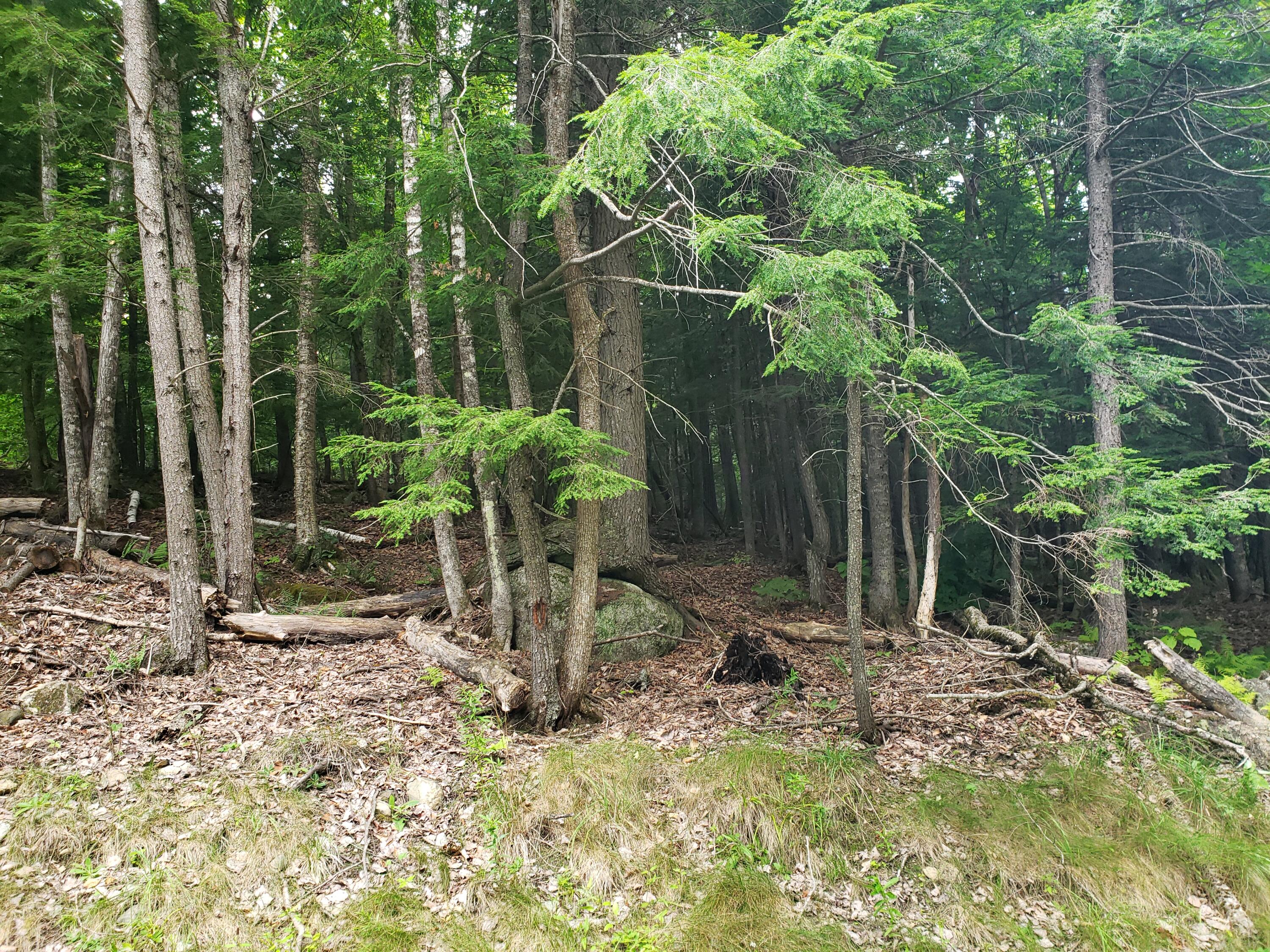 0 Stanley Road New Vineyard, ME 04956 - Photo 15 of 20 20220816_173707