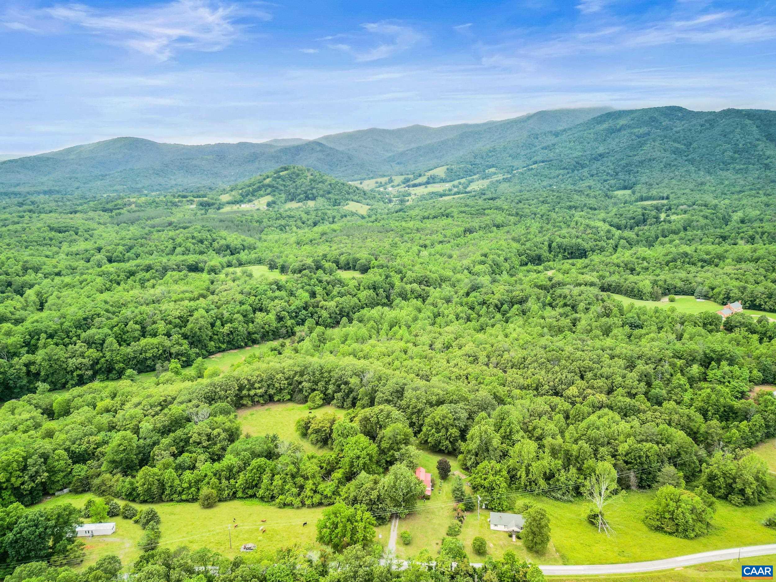 687 Gidsville Road Amherst, VA 24521 - Photo 2 of 70 a view of a lush green field with a mountain in the background