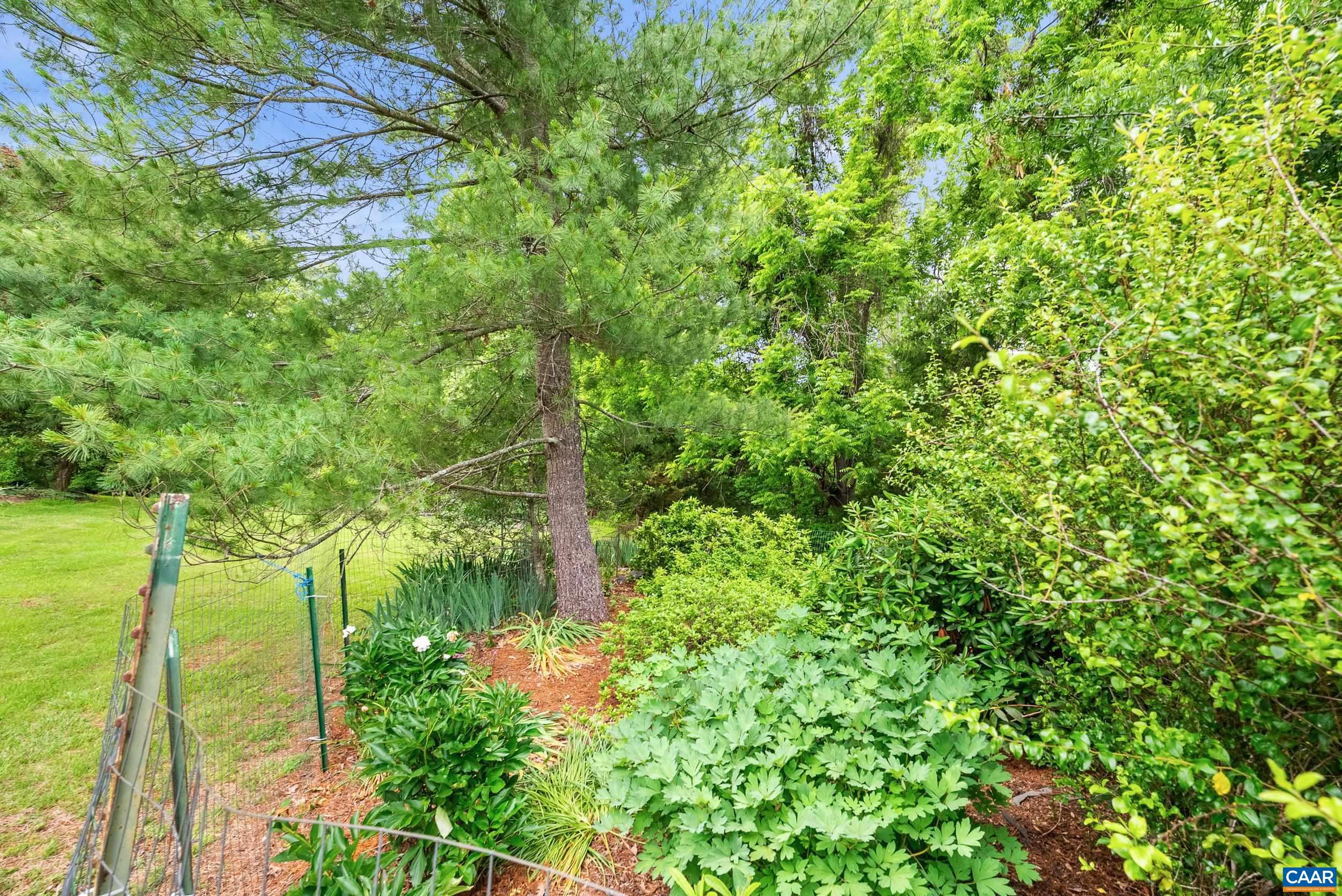 687 Gidsville Road Amherst, VA 24521 - Photo 45 of 70 a backyard of a house with lots of green space and garden in the back