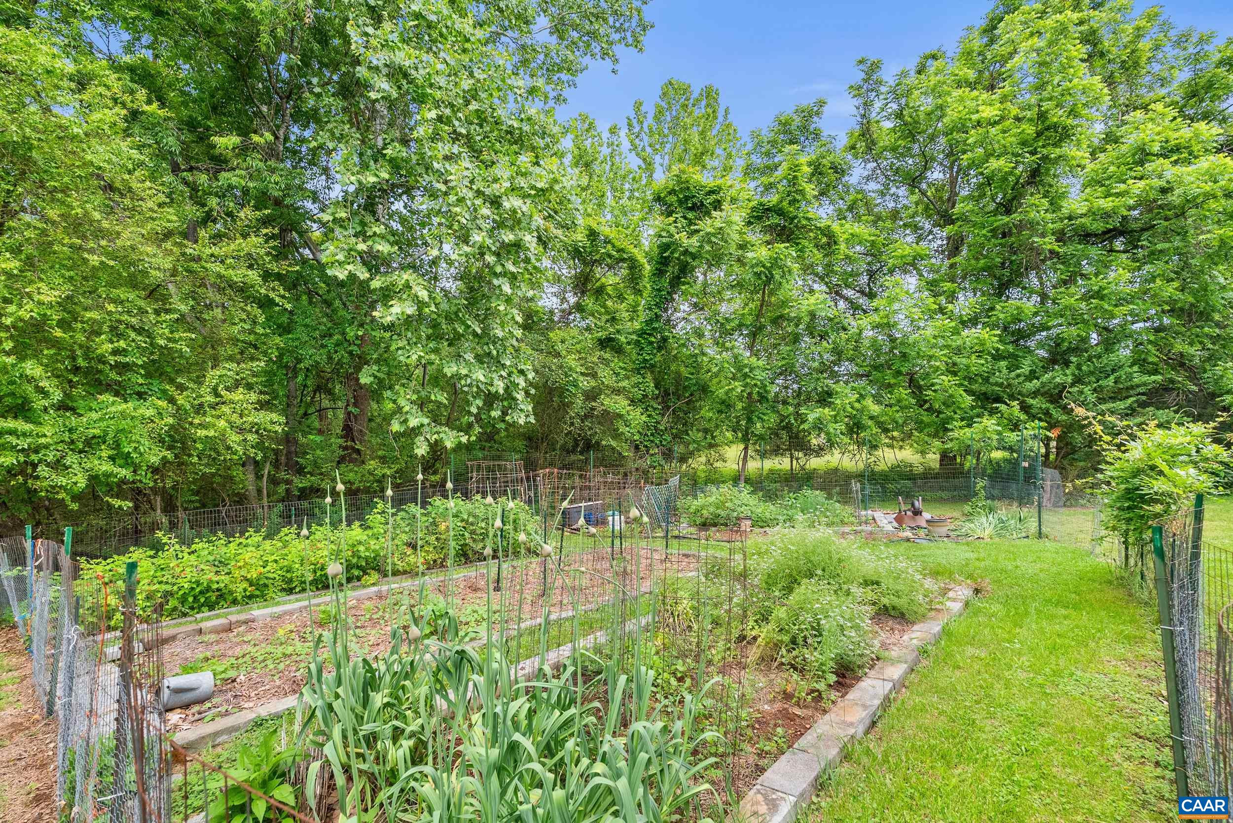 687 Gidsville Road Amherst, VA 24521 - Photo 48 of 70 a view of a garden with a lake