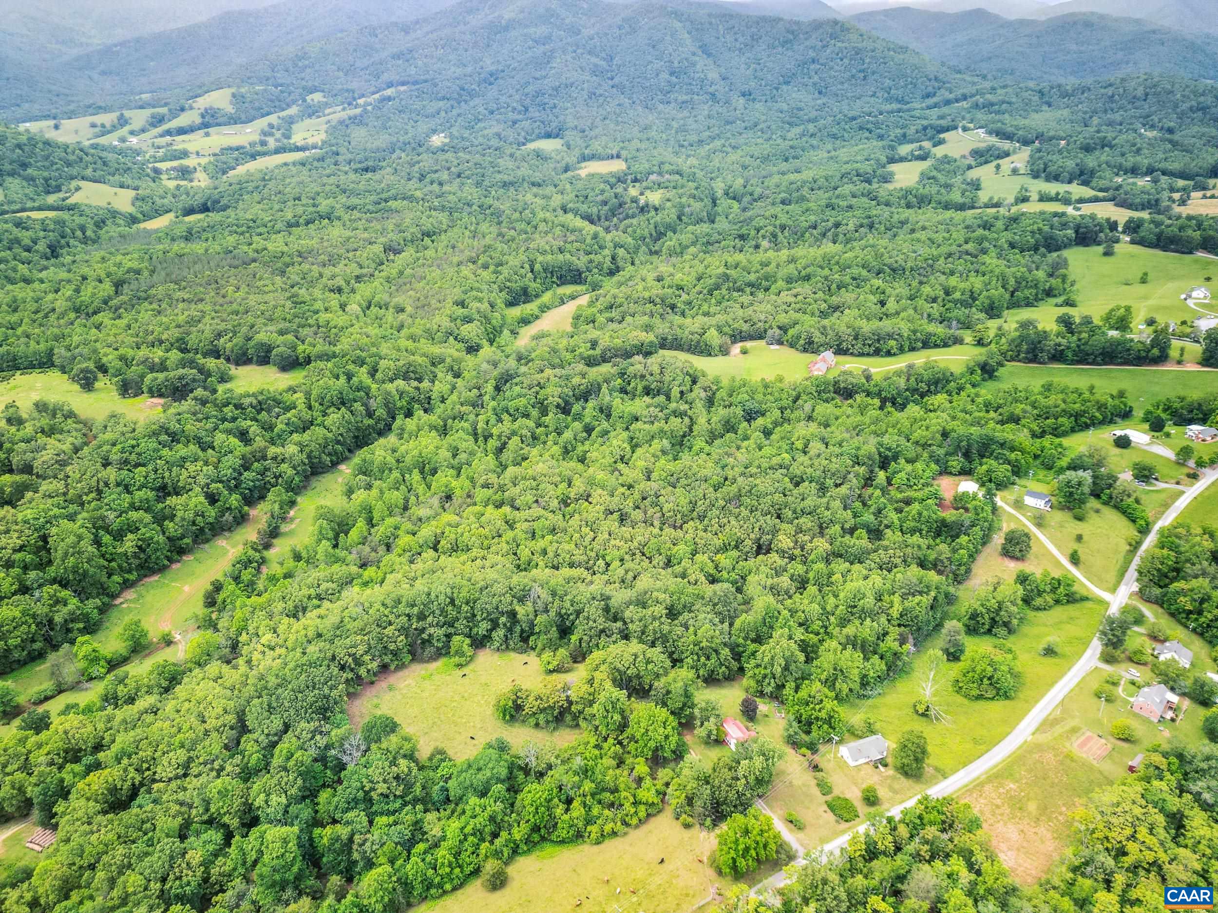 687 Gidsville Road Amherst, VA 24521 - Photo 58 of 70