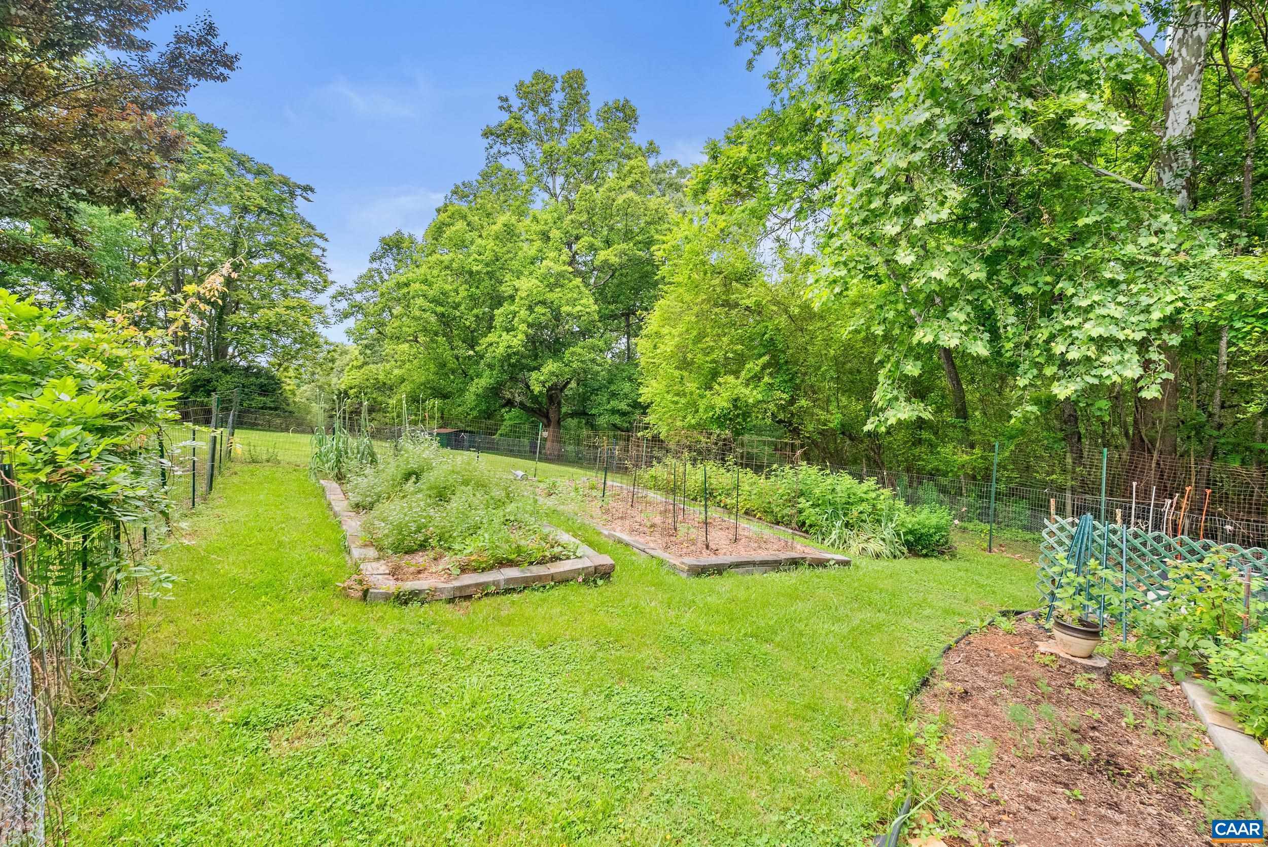 687 Gidsville Road Amherst, VA 24521 - Photo 6 of 70 a view of a garden with a small yard
