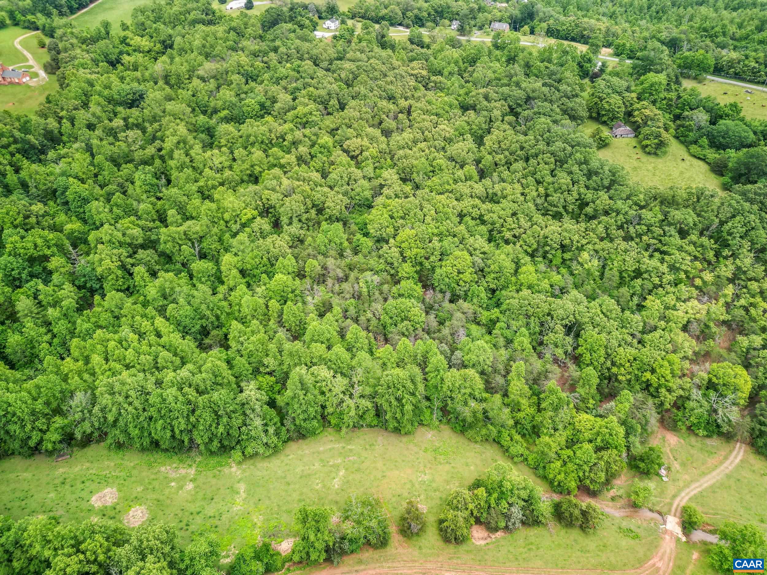 687 Gidsville Road Amherst, VA 24521 - Photo 63 of 70 a view of a yard with a tree