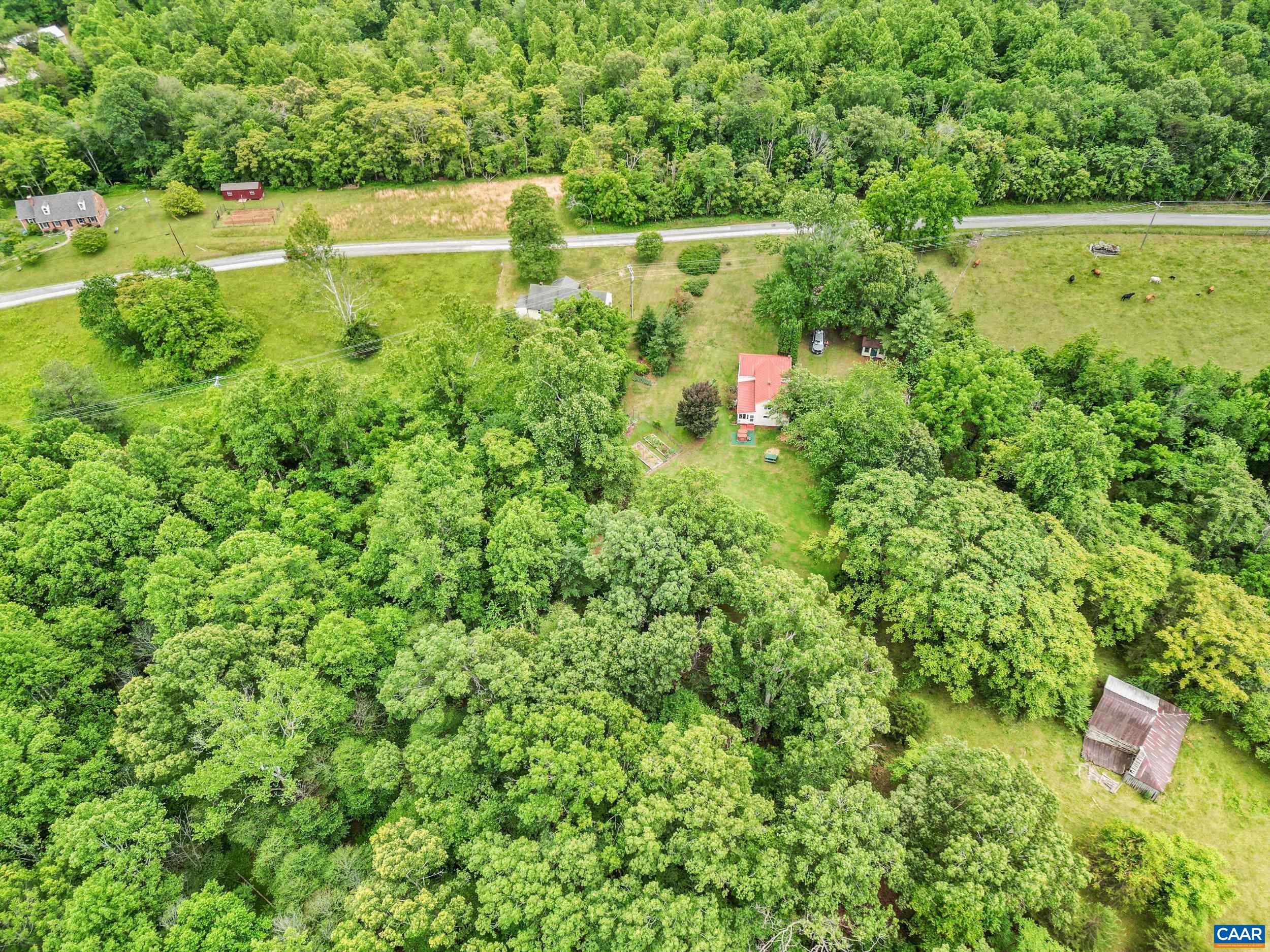 687 Gidsville Road Amherst, VA 24521 - Photo 66 of 70 a view of garden with plants