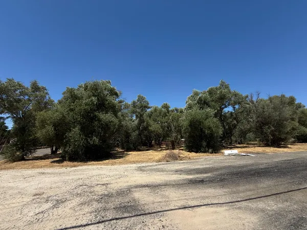 a view of snow on a road