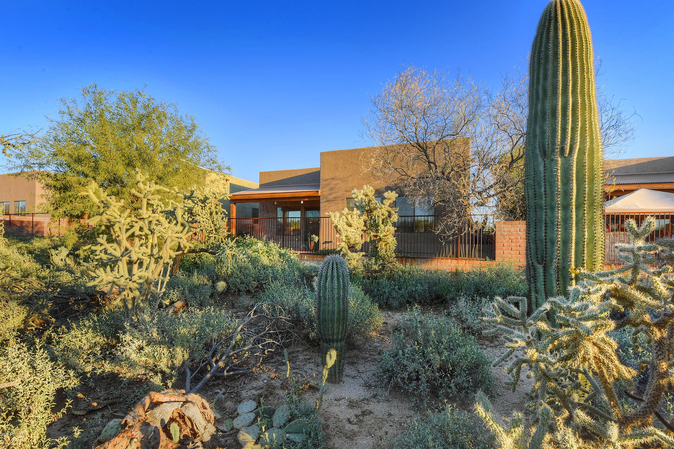 11439 North Moon Ranch Place Marana, AZ 85658 - Photo 24 of 31
