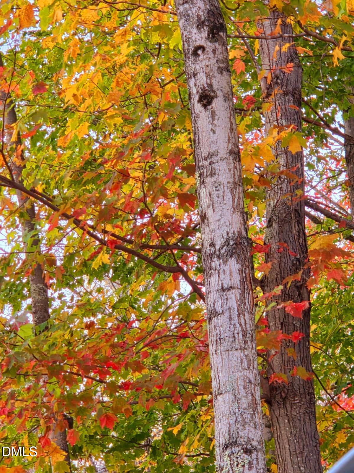 5258 Snow Camp Road Graham, NC 27253 - Photo 12 of 26