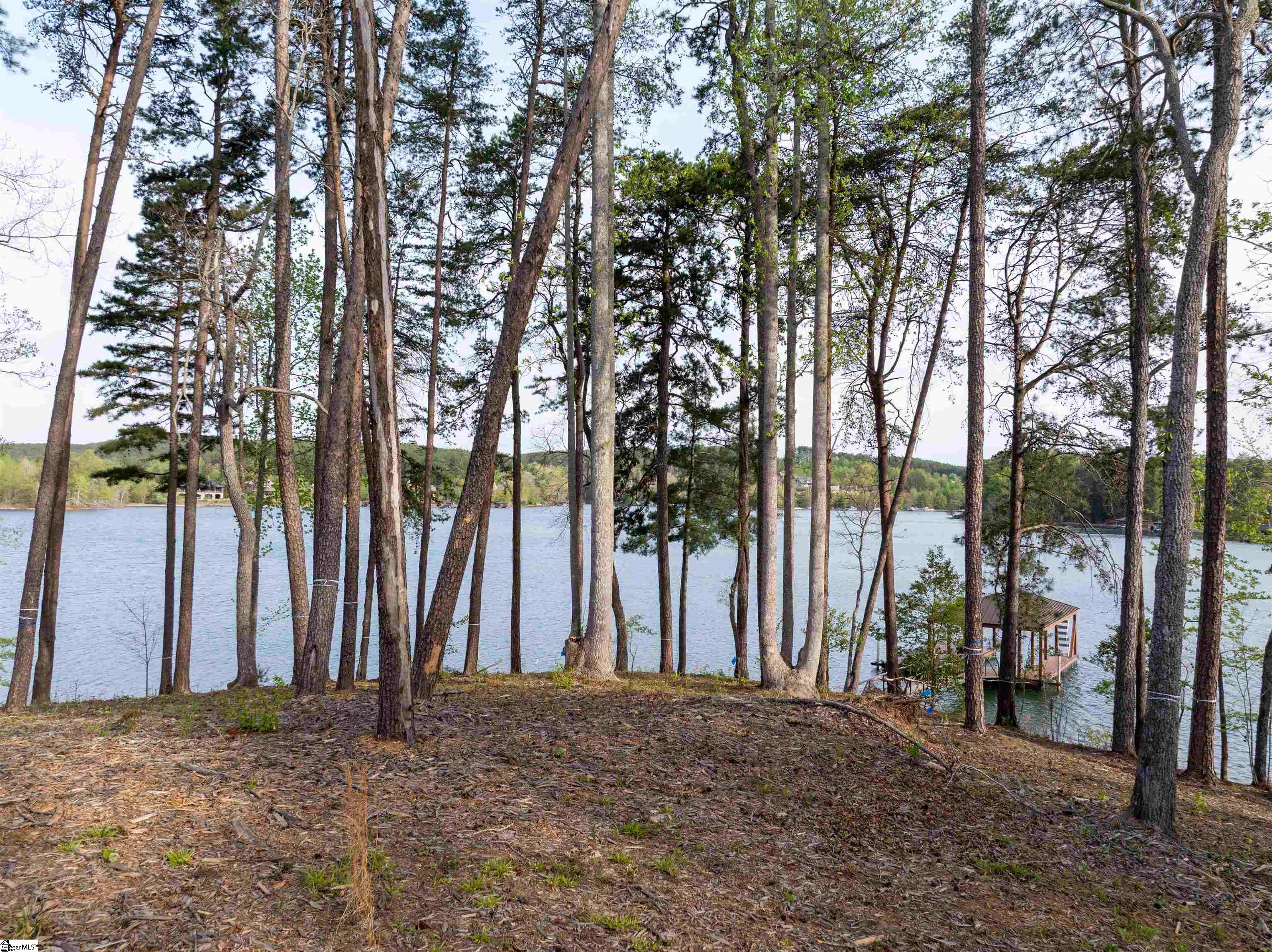 23 Peninsula Ridge Sunset, SC 29685 - Photo 24 of 28