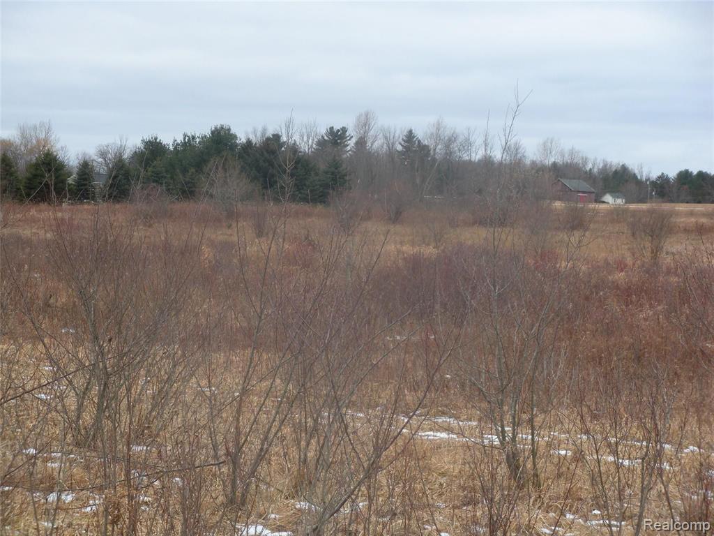 A & B A & B Rich Road Mayville, MI 48744 - Photo 6 of 14